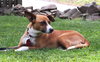 Rudy
