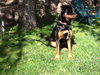 Bolt