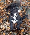Mishka/Miska