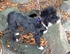 Mishka/Miska