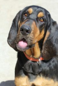 Ellie Mae