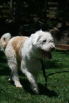 Annie