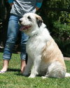 Annie