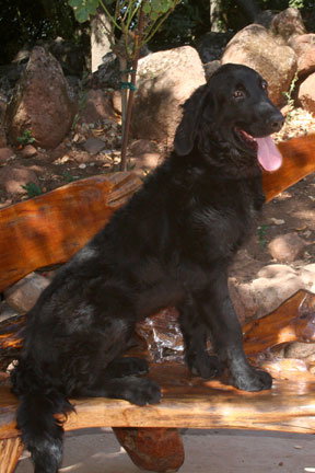 Monty