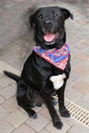 Barkley