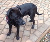 Tucker