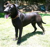 Tucker