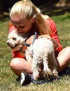 Tully