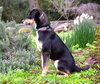 Margo