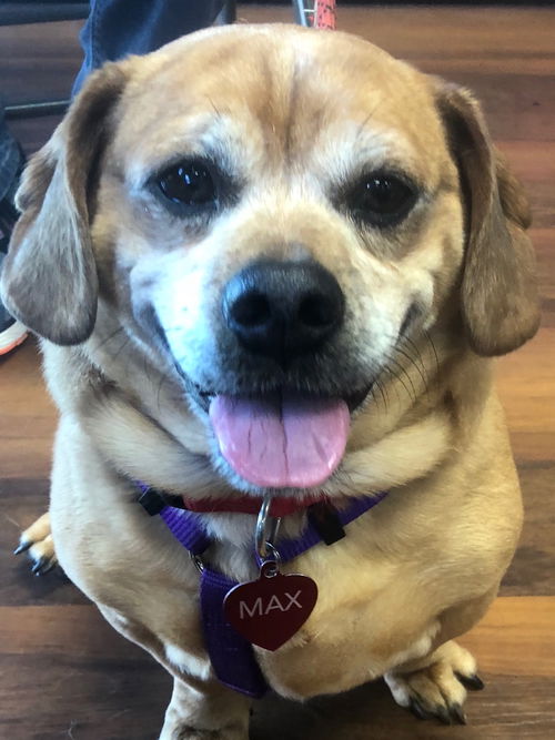 Max