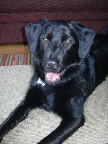 Murphy