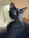 Wilbur