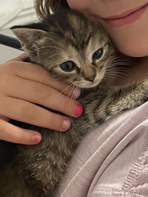 Munchkin