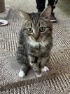 Percy