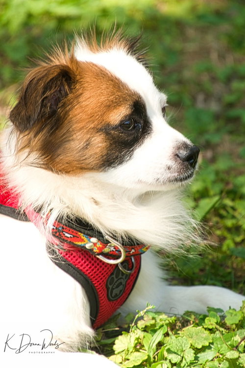 Photo 2 of Truman