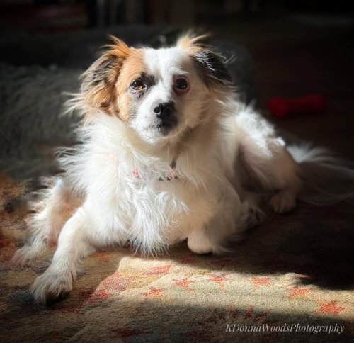 Photo 5 of Truman