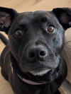 Chloe