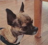 Zoey