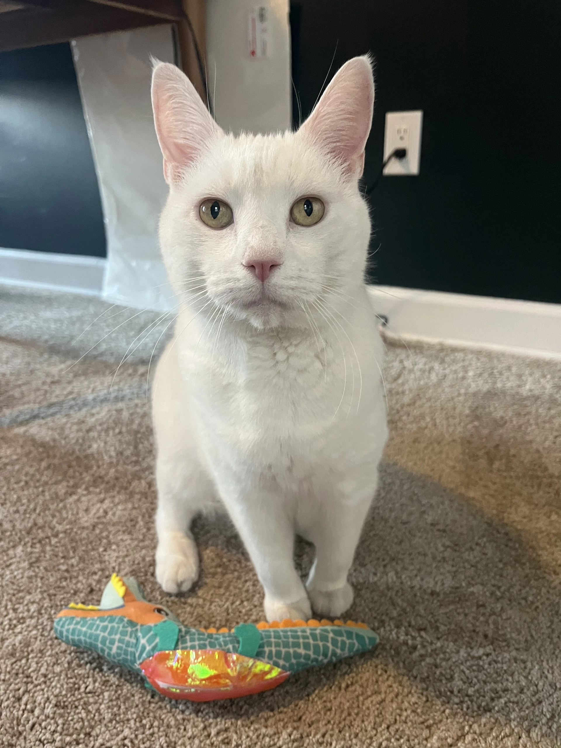 Sam
