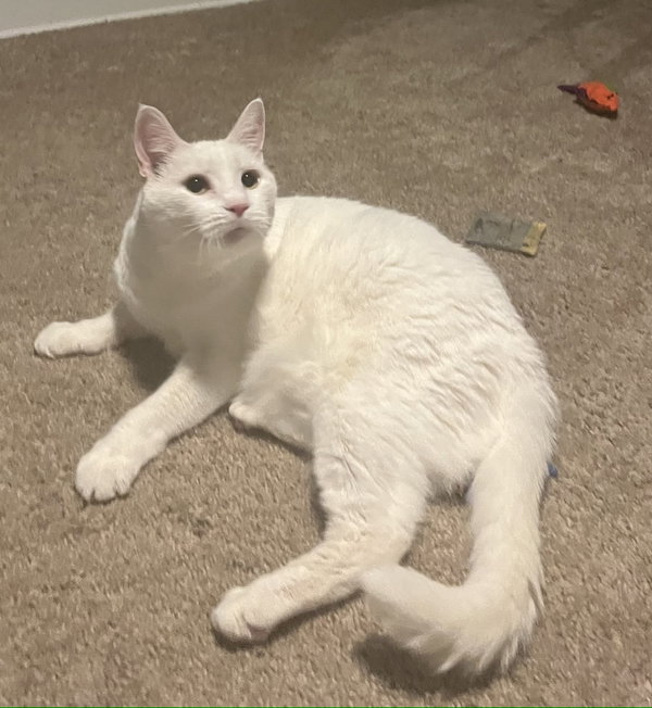 Sam