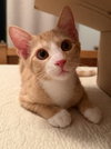 Sonny