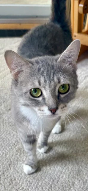 Minnie