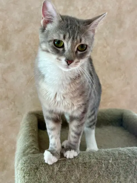 Minnie image 2