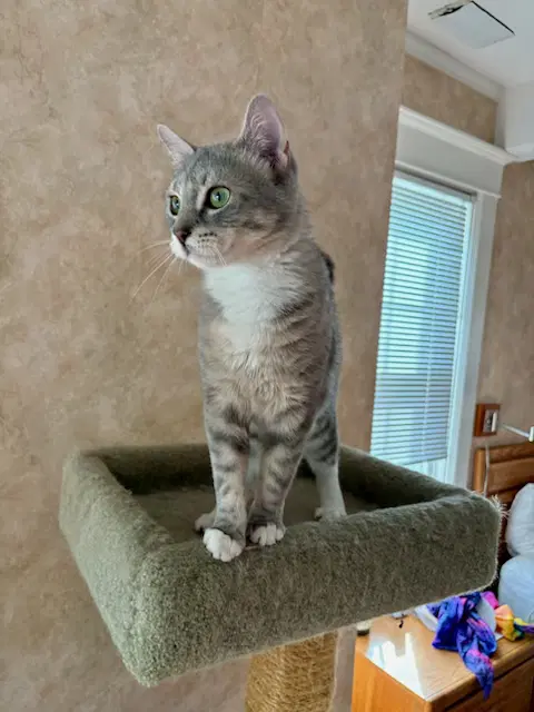 Minnie image 3