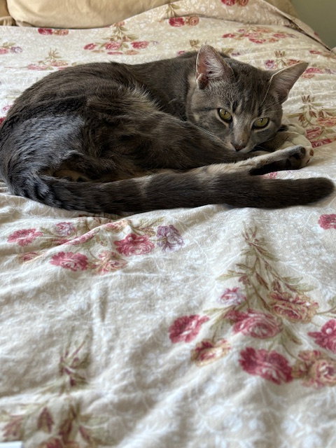 Photo 6 of Marnat