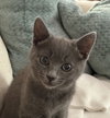 Stormie