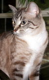 Mitzi