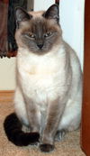 Misha