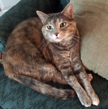 Sophie