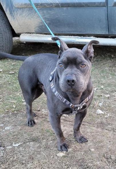 Zeus