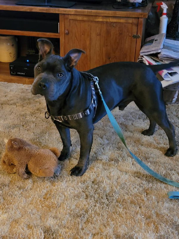 Zeus