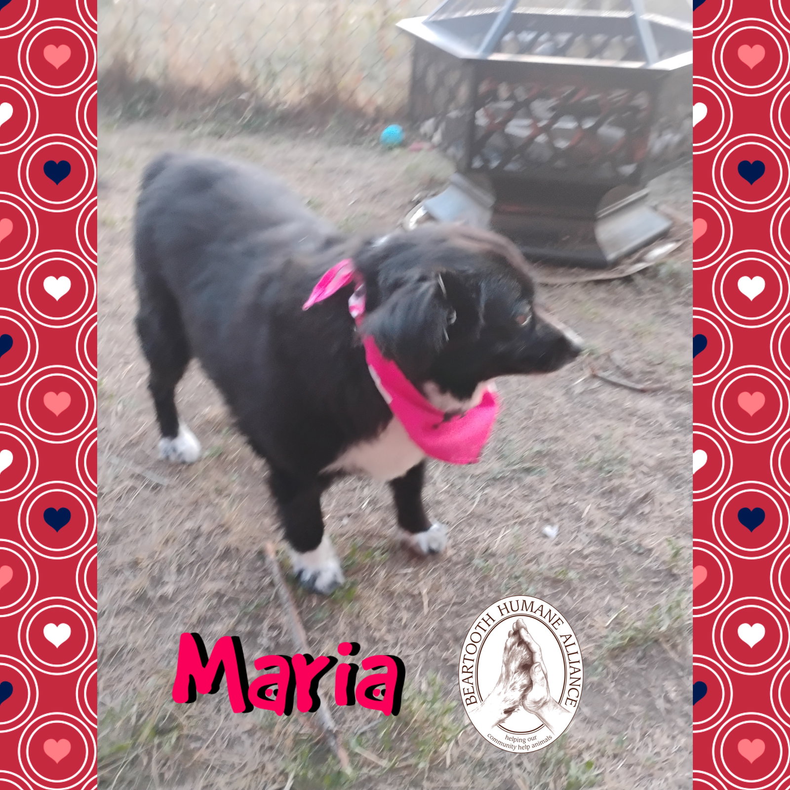Maria & Spring
