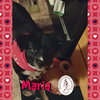 Maria & Spring - Photo 3