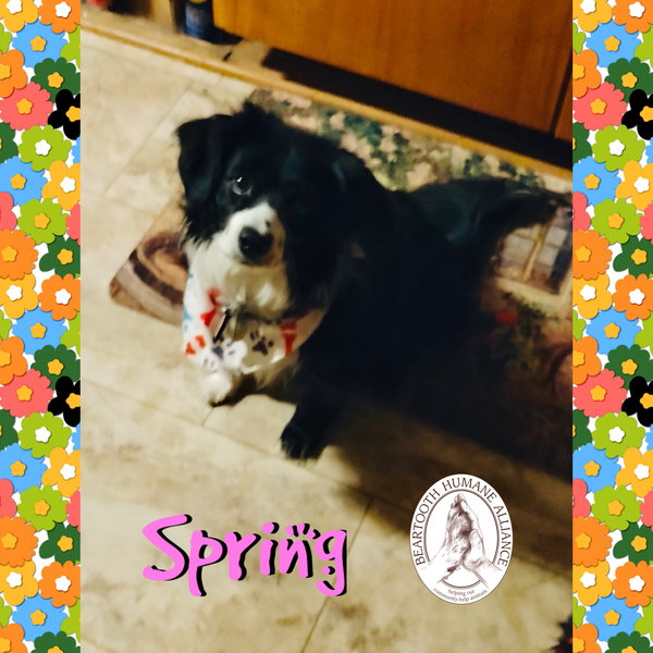 Maria & Spring