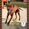 Hellen - Photo 1
