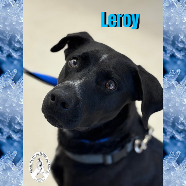 Leroy