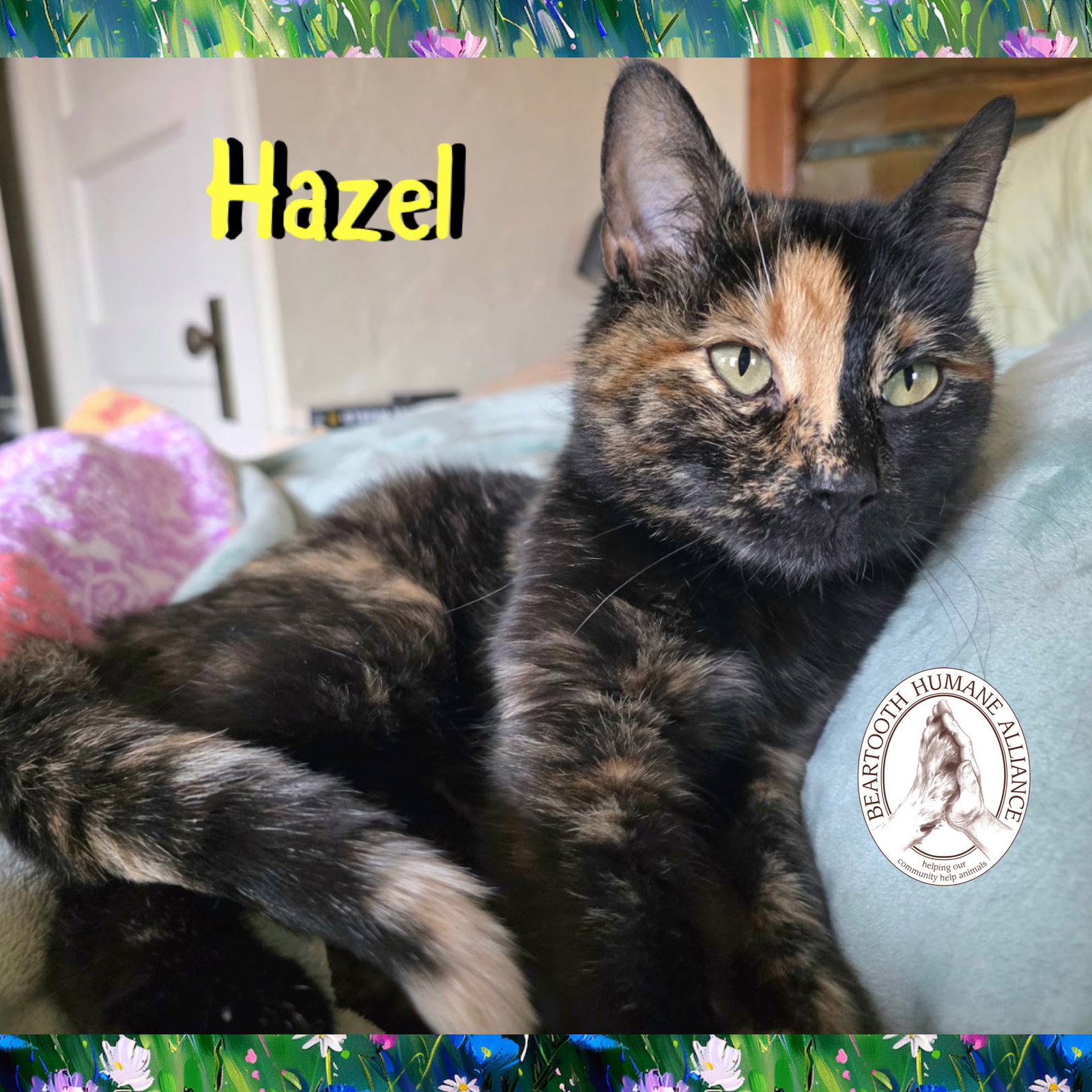 Hazel Image