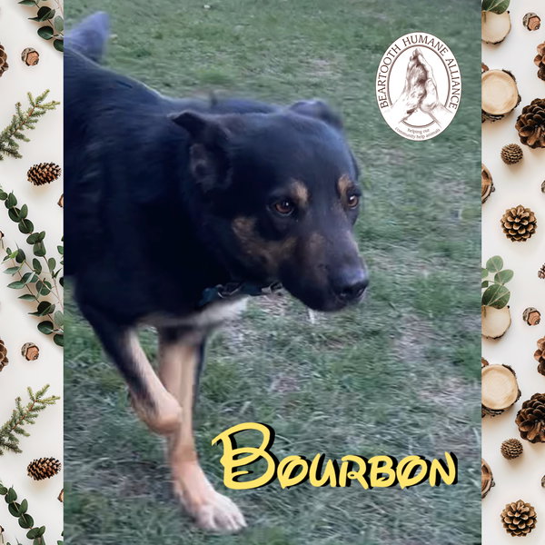 Bourbon
