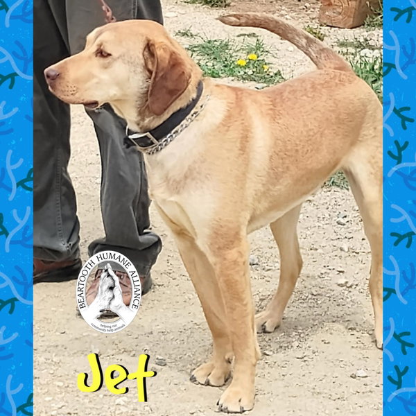 Jet