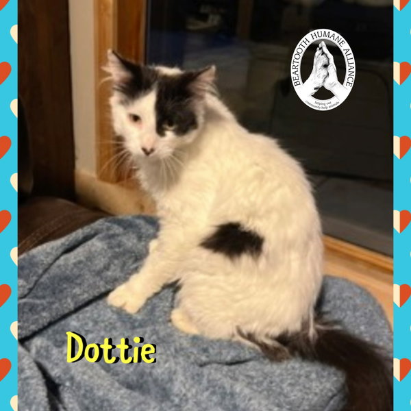 Dottie