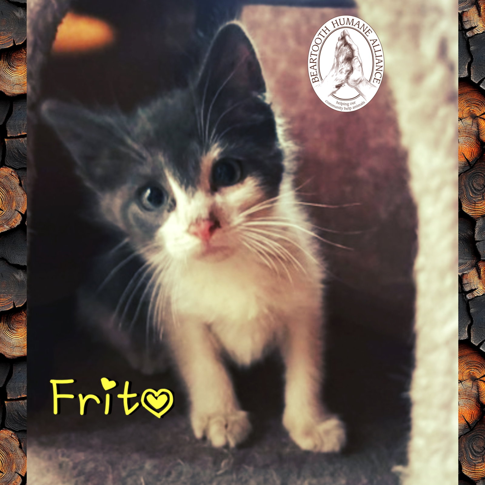 Frito