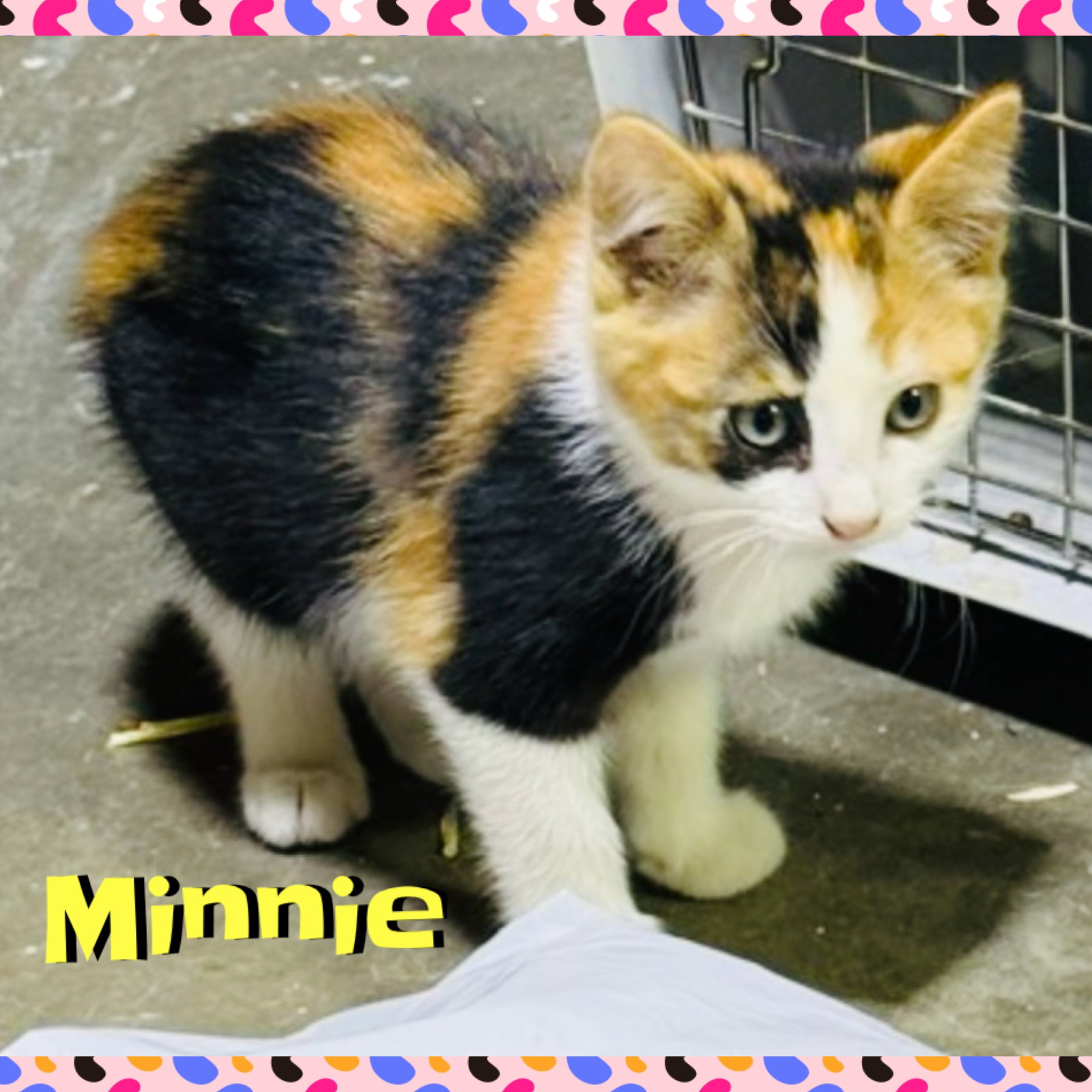Minnie