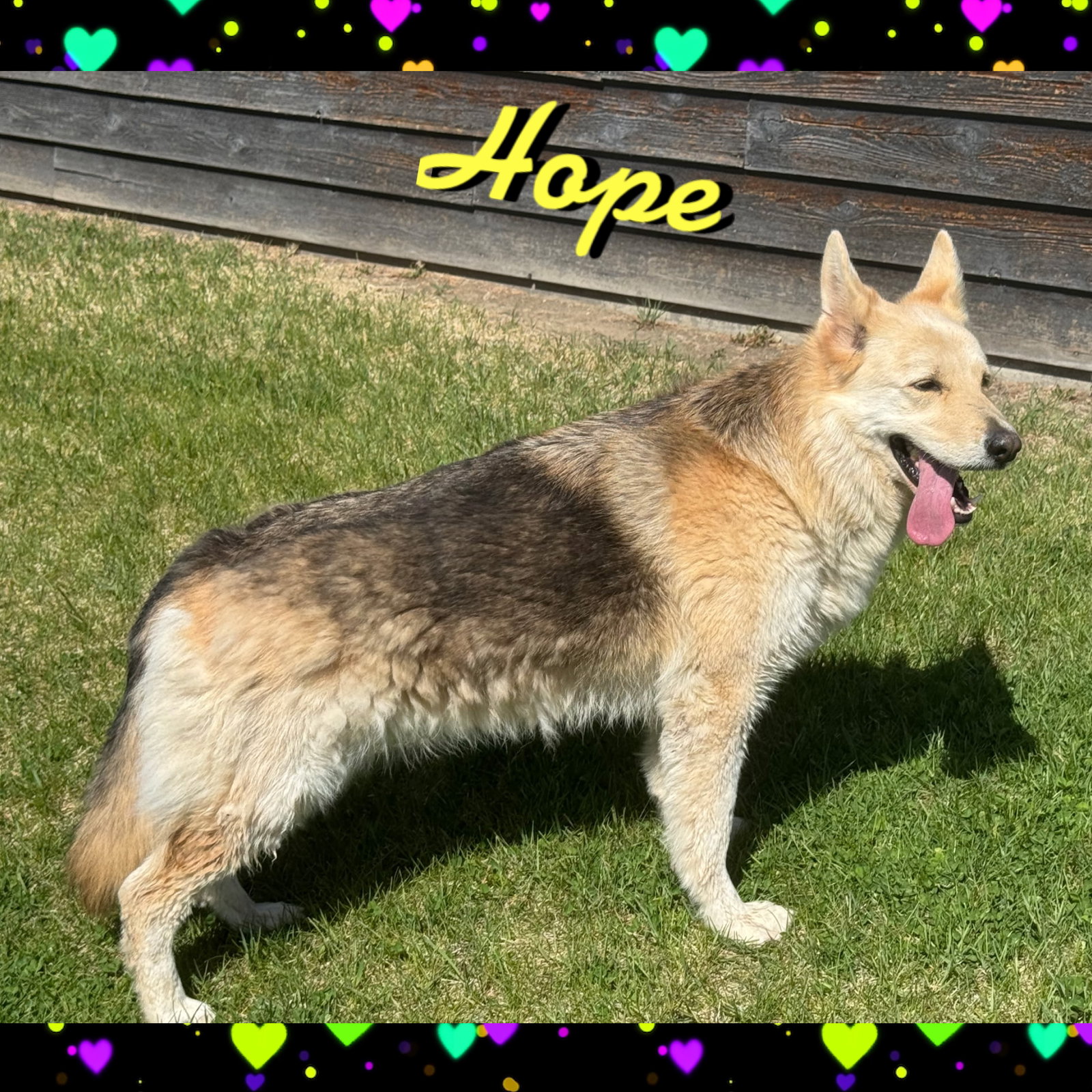 Hope