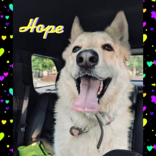 Hope photo 2