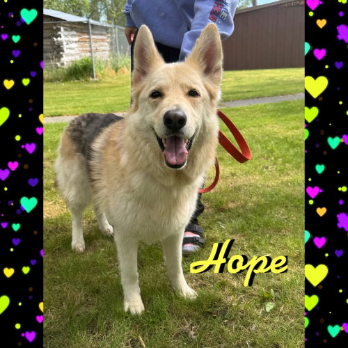 Hope photo 3