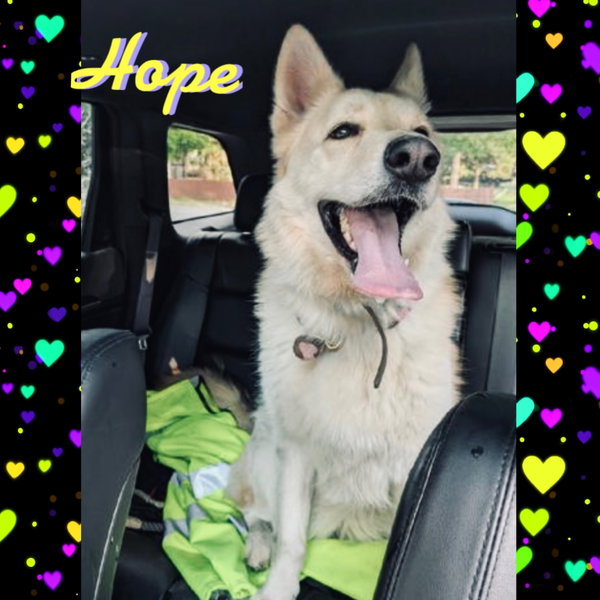 Hope